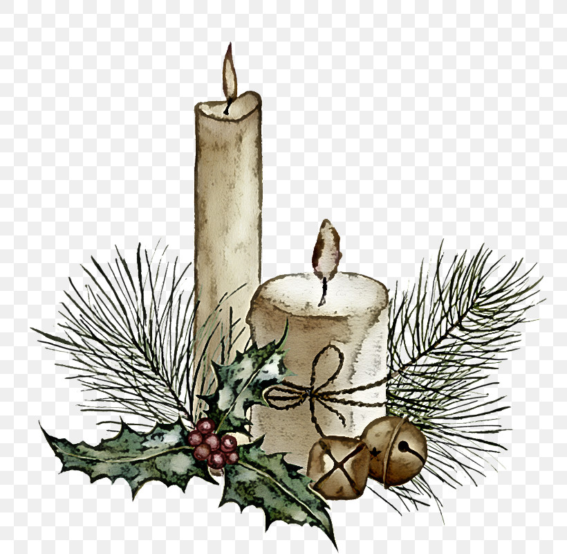 Holly, PNG, 800x800px, Candle, Branch, Candle Holder, Christmas, Christmas Eve Download Free