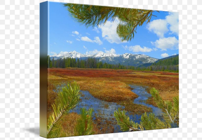 Salt Marsh Painting Ecoregion Landscape, PNG, 650x570px, Salt Marsh, Acrylic Paint, Acrylic Resin, Biome, Bog Download Free