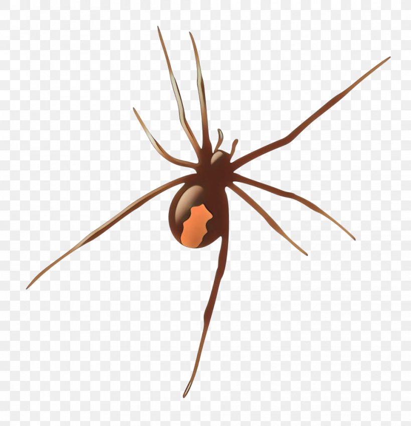 Spider Arachnid Widow Spider Tangle-web Spider Orb-weaver Spider, PNG, 964x1000px, Cartoon, Arachnid, Harvestman, Insect, Orbweaver Spider Download Free