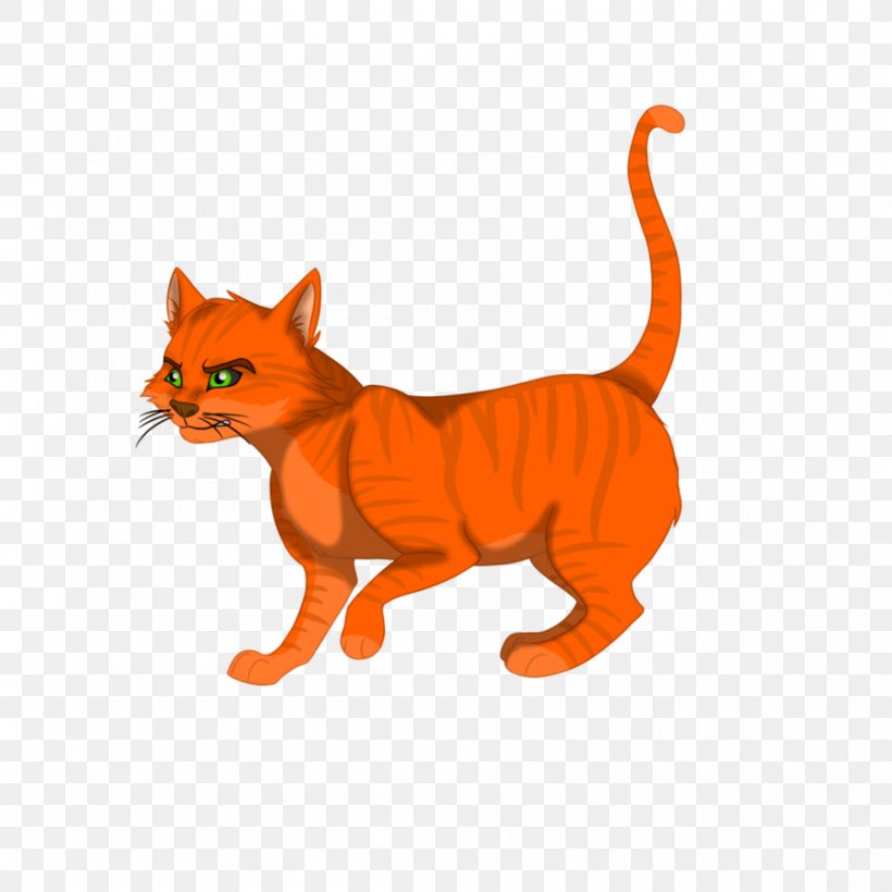 Whiskers Kitten Red Fox Cat, PNG, 894x894px, Whiskers, Animal, Animal Figure, Carnivoran, Cartoon Download Free