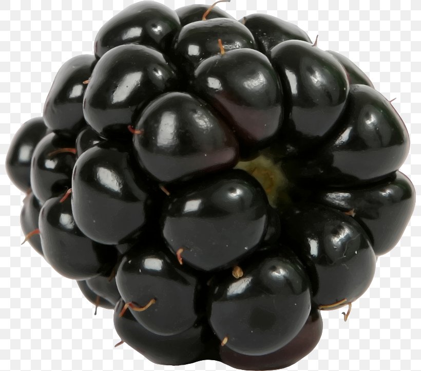Blackberry Fruit Salad Raspberry, PNG, 800x722px, Blackberry, Amora, Bead, Berry, Cherry Download Free