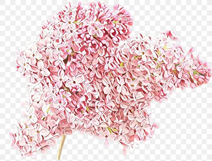 Pink Cut Flowers Plant Flower Blossom, PNG, 1280x976px, Cartoon, Blossom, Cut Flowers, Flower, Pink Download Free