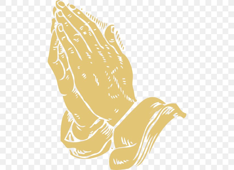 Praying Hands Prayer Clip Art, PNG, 486x598px, Praying Hands, Area, Art, Beak, Bird Download Free