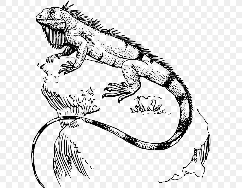 Reptile Lizard Chameleons Vertebrate Green Iguana, PNG, 607x640px, Watercolor, Cartoon, Flower, Frame, Heart Download Free