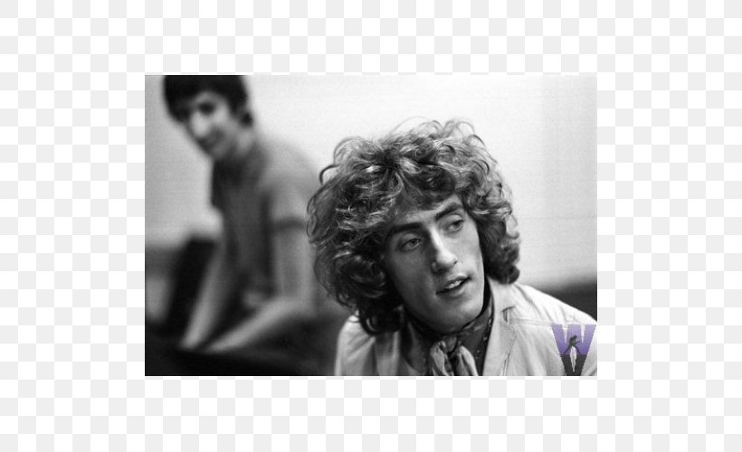 Roger Daltrey Amazing Journey: The Story Of The Who Tommy Who's Next, PNG, 500x500px, Watercolor, Cartoon, Flower, Frame, Heart Download Free