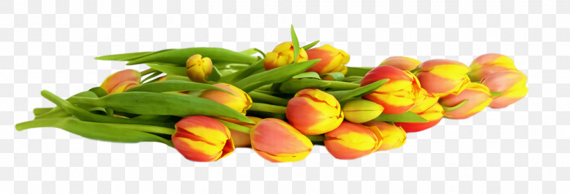 Spring Flower Spring Floral Flowers, PNG, 1920x654px, Spring Flower, Bouquet, Bud, Cut Flowers, Flower Download Free