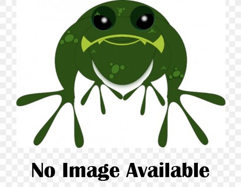 True Frog Tree Frog Amphibians Clip Art, PNG, 899x698px, True Frog, Amphibian, Amphibians, Animal, Australian Green Tree Frog Download Free