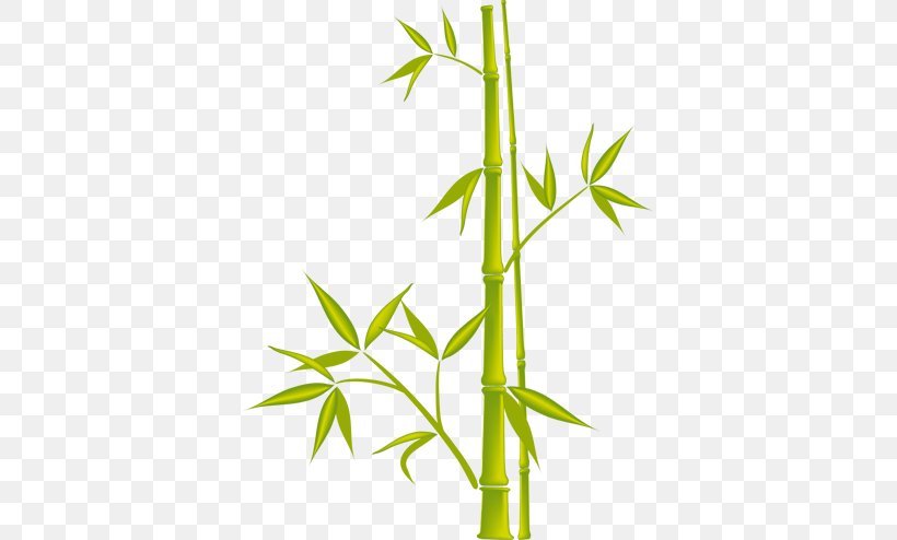 Bamboo Royalty-free Drawing, PNG, 374x494px, Bamboo, Bamboo Textile, Branch, Drawing, Grass Download Free