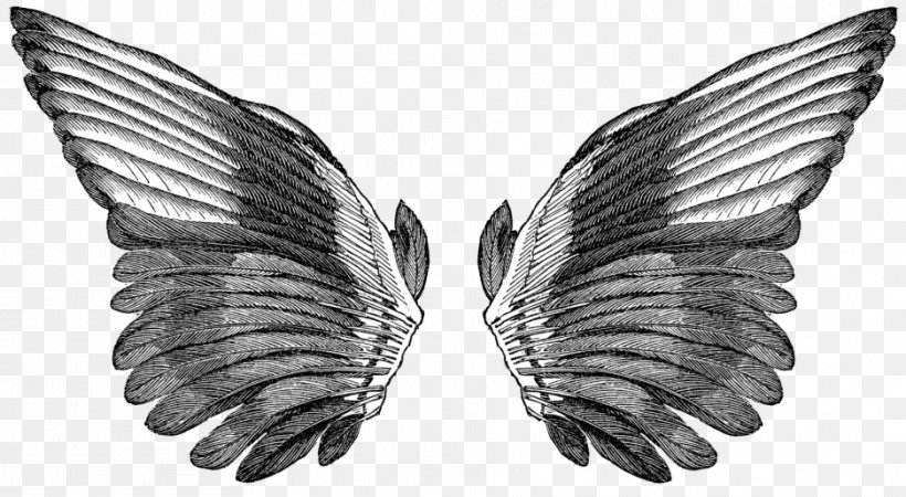 Bird Drawing Clip Art, PNG, 937x515px, Bird, Angel Wing, Art, Black And White, Butterfly Download Free