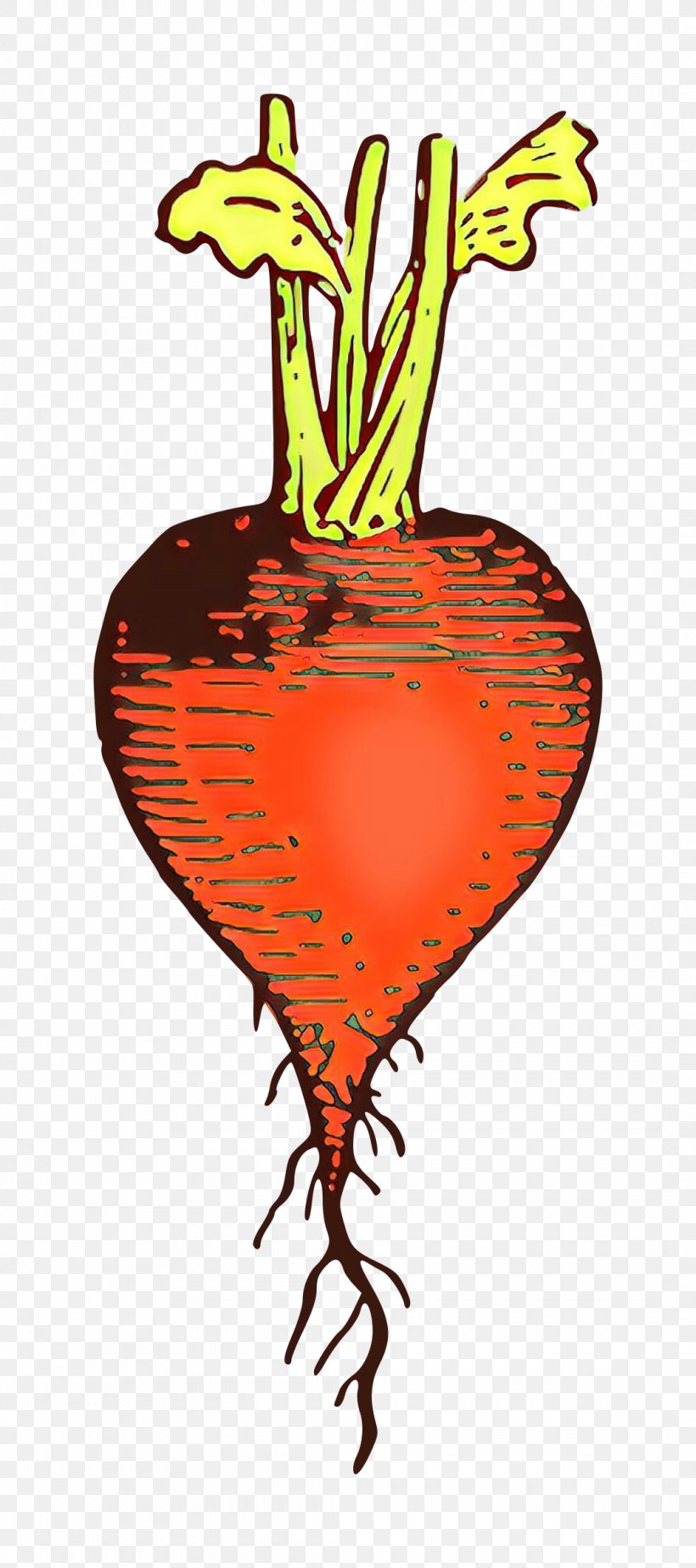 Carrot Beetroot Root Vegetable Vegetable Heart, PNG, 1066x2400px, Carrot, Beetroot, Heart, Plant, Root Vegetable Download Free
