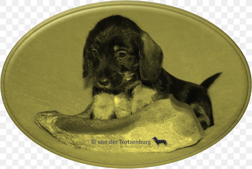 Dog Breed Puppy Aretus Breeder, PNG, 1165x784px, Dog Breed, Aretus, Breed, Breeder, Carnivoran Download Free