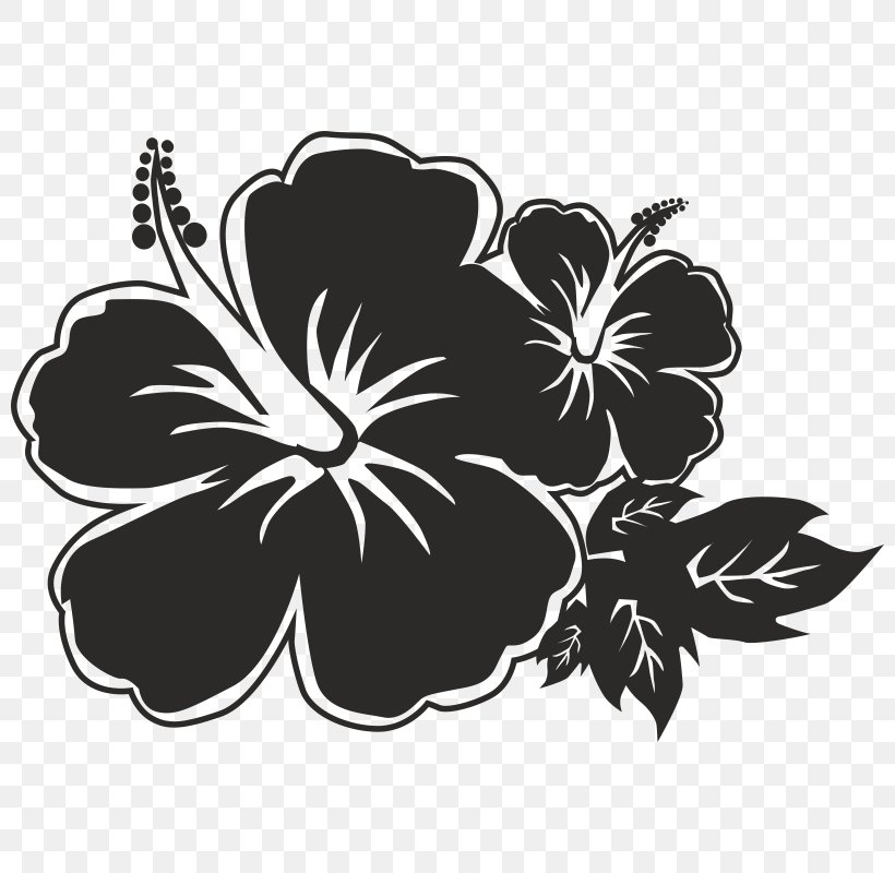 Kauai Humane Society: Blooming Tails Resale Store Rosemallows Hawaii Route 56 Floral Design Charity Shop, PNG, 800x800px, Rosemallows, Black And White, Charity Shop, Flora, Floral Design Download Free