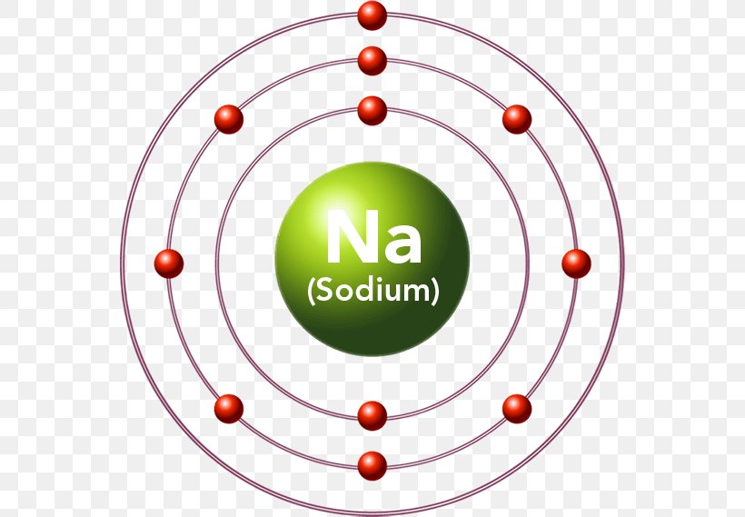 Magnesium Chemical Element Bohr Model Diagram, PNG, 556x569px, Magnesium, Area, Atom, Bohr Model, Chemical Element Download Free