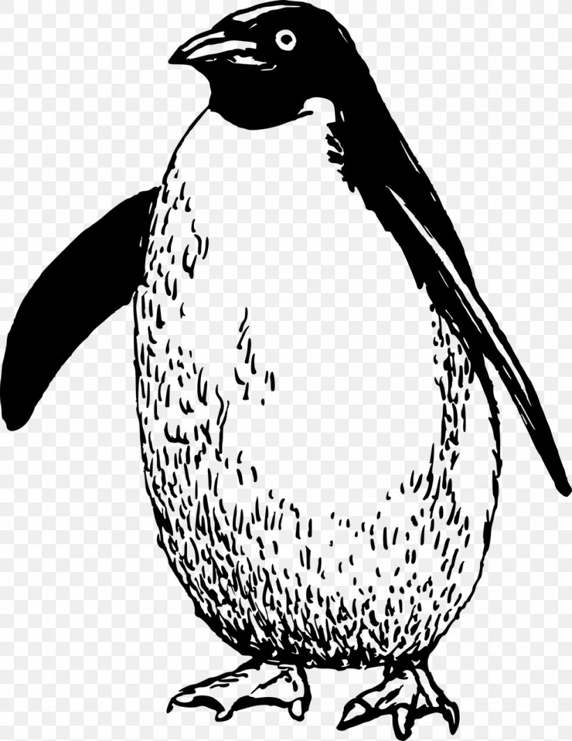 Penguin Flightless Bird Antarctica Clip Art, PNG, 988x1280px, Penguin, Animal, Antarctica, Artwork, Beak Download Free