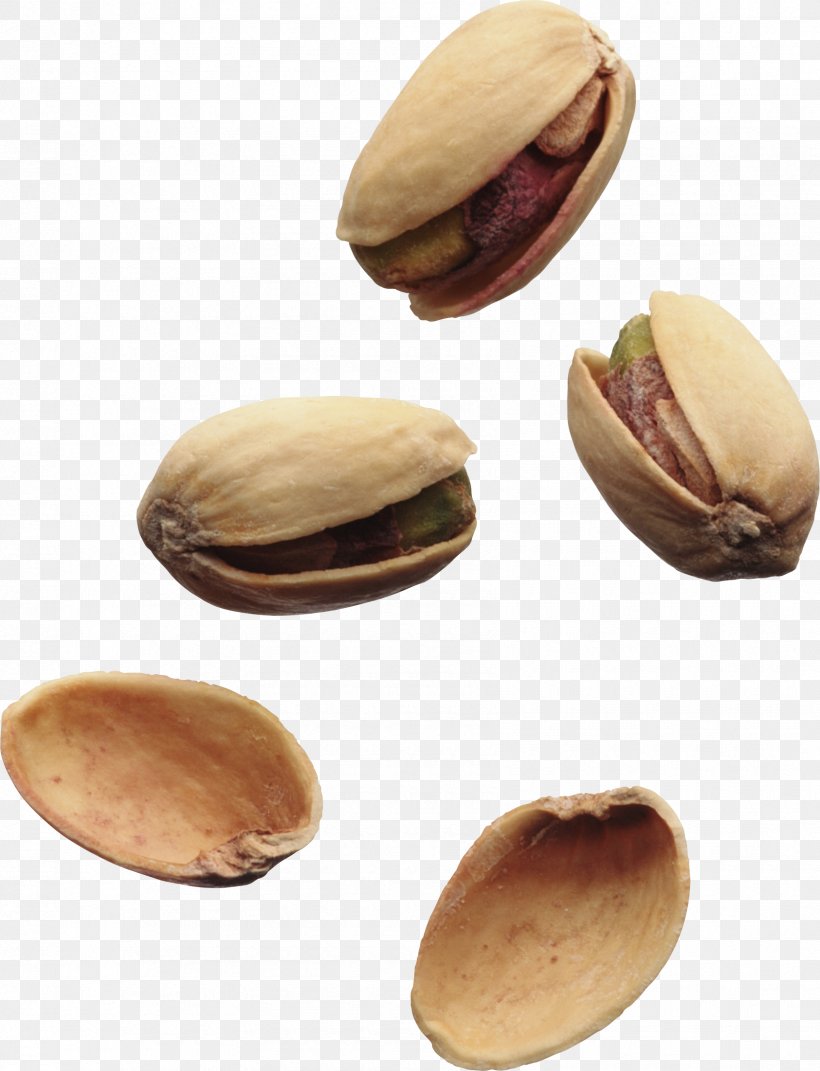 Pistachio Peanut Clip Art, PNG, 1685x2202px, Pistachio, Cashew, Digital Image, English Walnut, Food Download Free