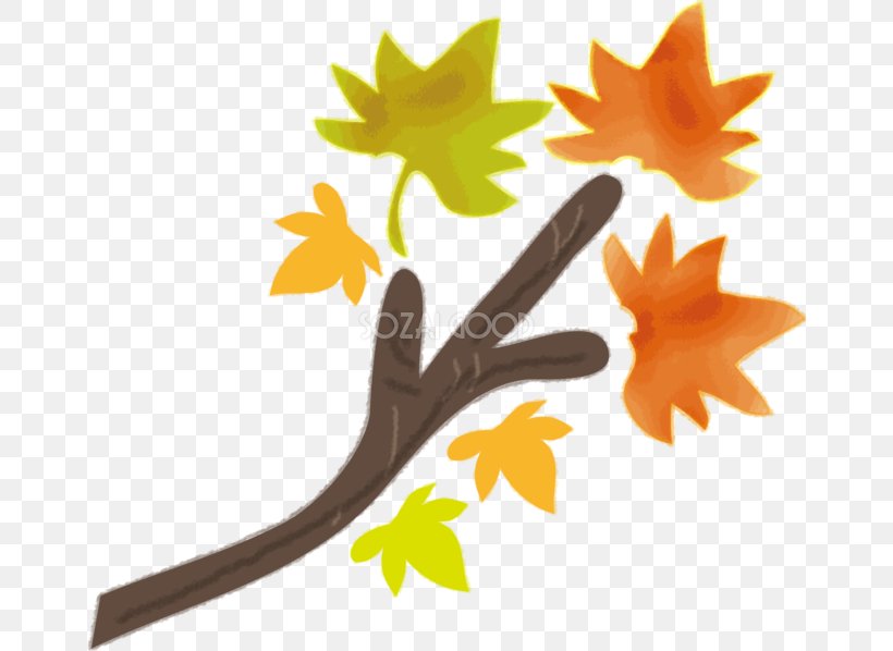 Branch Autumn Leaf Color Autumn Leaf Color Plant Stem, PNG, 660x598px, Branch, Artificial Intelligence, Autumn, Autumn Leaf Color, Flora Download Free