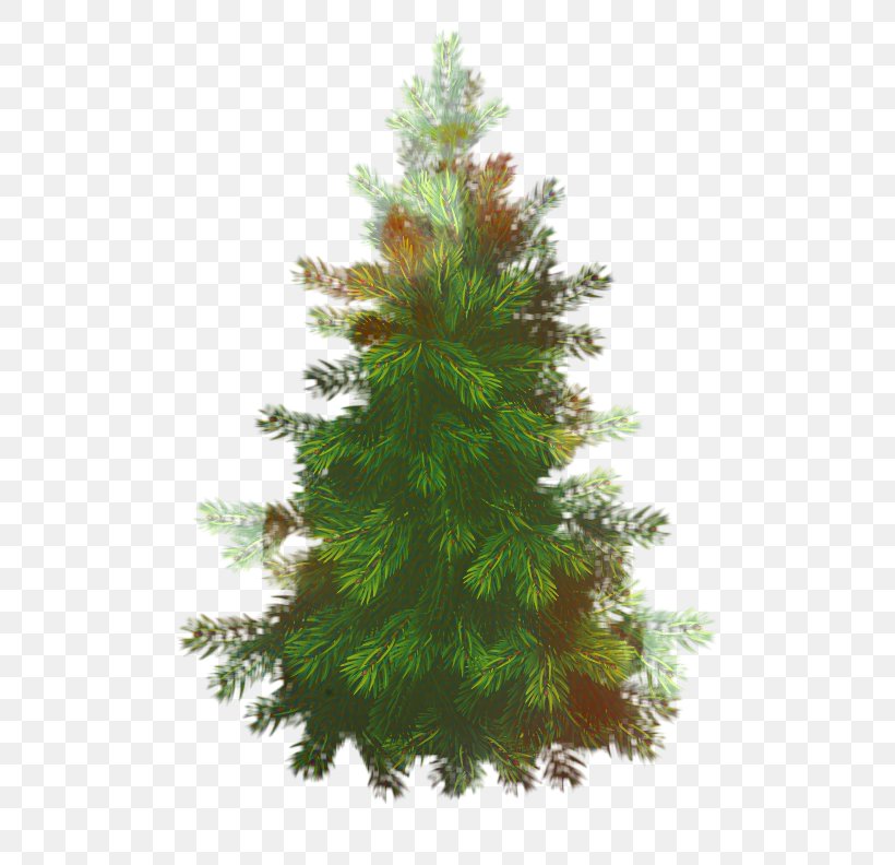 Christmas Black And White, PNG, 612x792px, Spruce, American Larch, Balsam Fir, Branch, Christmas Decoration Download Free