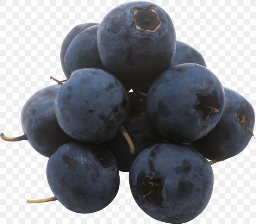 European Blueberry Bilberry Grape Huckleberry, PNG, 850x747px, Blueberry, Berry, Bilberry, Cranberry, Damson Download Free