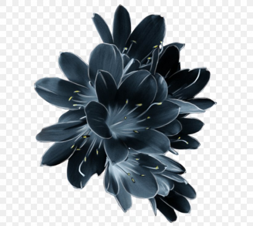 Flower Crown, PNG, 946x845px, Blue, Black And White, Color Depth, Cut Flowers, Flower Download Free