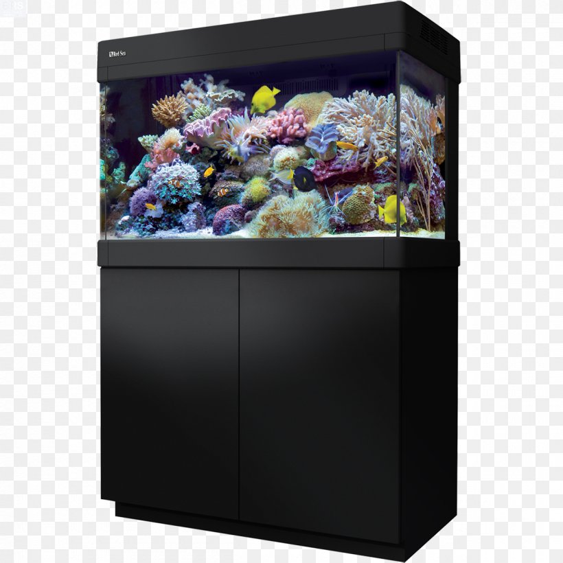 Red Sea Reef Aquarium Aquariums Coral Reef, PNG, 1200x1200px, Red Sea, Aquarium, Aquarium Lighting, Aquariums, Aquatic Animal Download Free