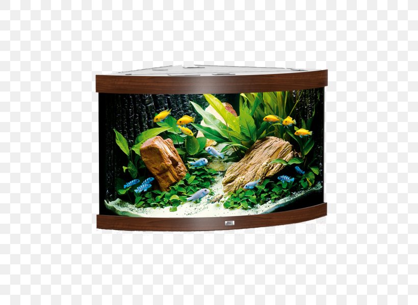 Reef Aquarium Koi Heater Tropical Fish, PNG, 600x600px, Aquarium, Cabinetry, Fish, Freshwater Aquarium, Furniture Download Free