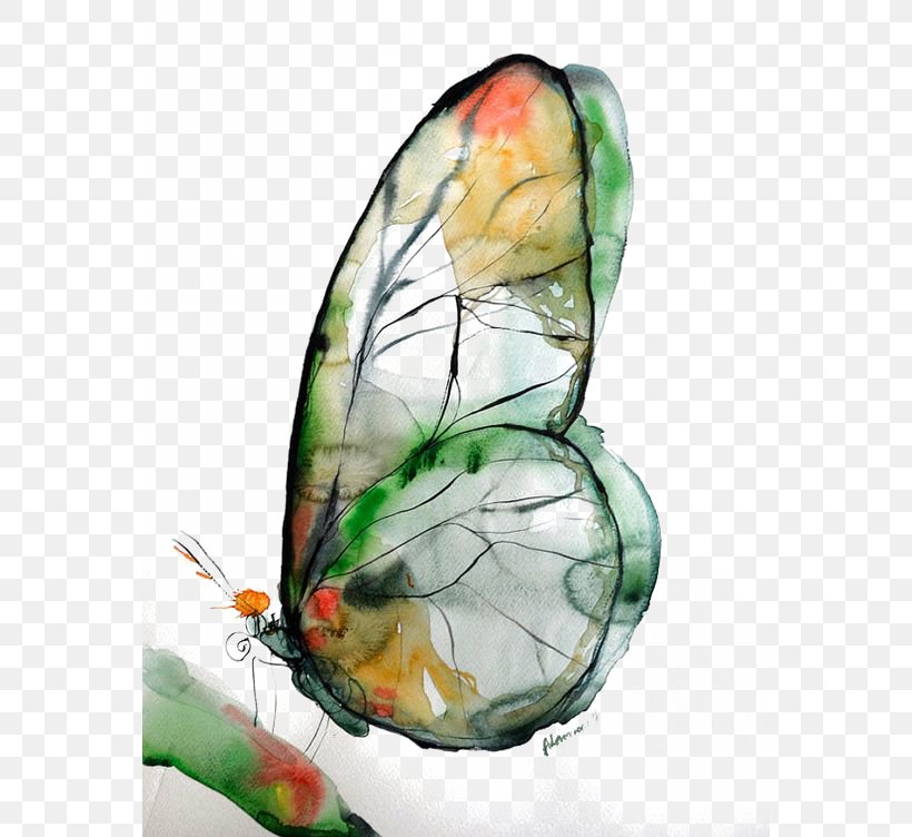 Watercolor Painting Art Drawing, PNG, 564x752px, Watercolor Painting, Art, Artist, Butterfly, Color Download Free