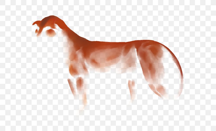 Dog Mustang Neck Mane Snout, PNG, 640x500px, 2019 Ford Mustang, Dog, Carnivoran, Dog Like Mammal, Ford Mustang Download Free