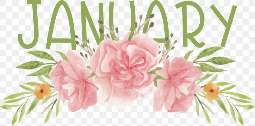 Floral Design, PNG, 3831x1897px, Floral Design, Cabbage Rose, Cut Flowers, Flower, Flower Bouquet Download Free