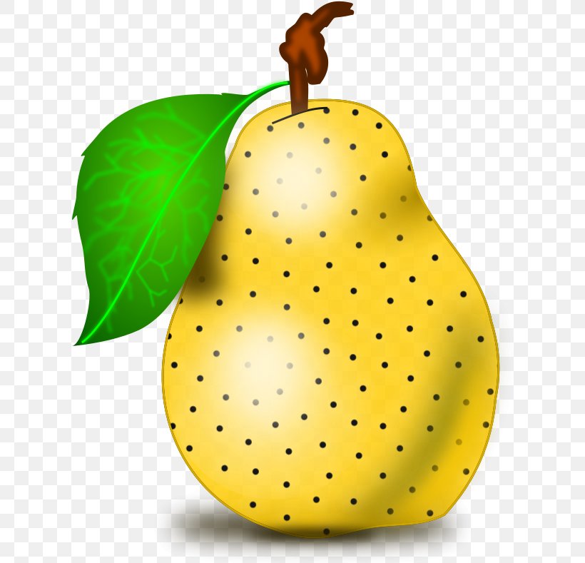 Fruit Tree, PNG, 622x789px, Pear, Accessory Fruit, Asian Pear, Food, Fruit Download Free