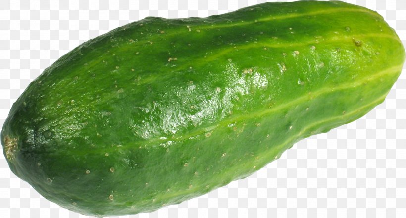 Cucumber Bitter Melon Desktop Wallpaper Clip Art, PNG, 1600x859px, Cucumber, Bitter Melon, Computer, Cucumber Gourd And Melon Family, Cucumis Download Free