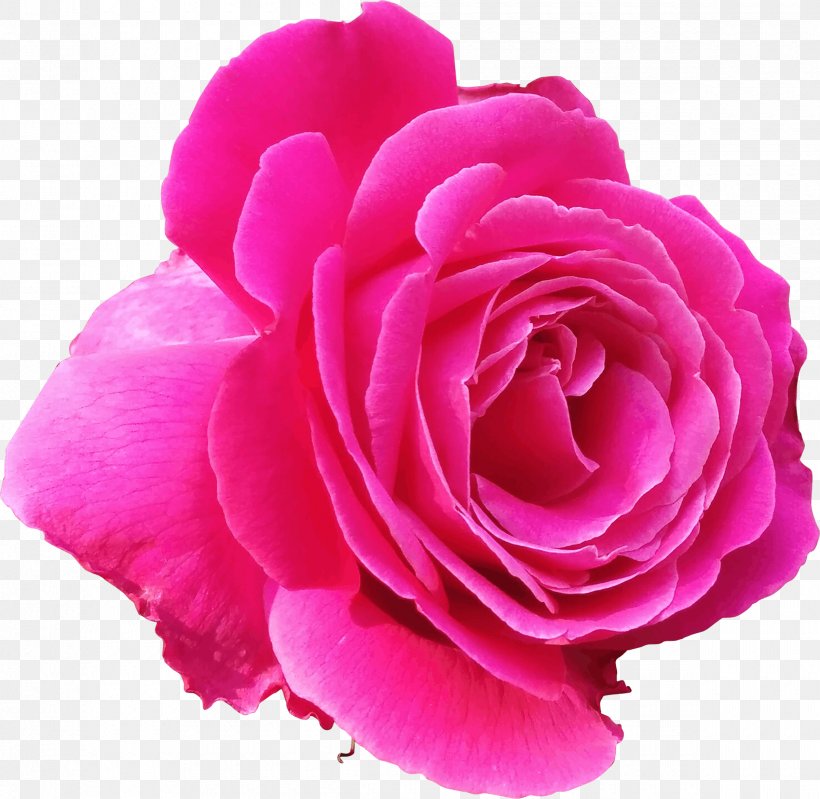 Flower Blue Rose Clip Art, PNG, 2400x2340px, Flower, Annual Plant, Artificial Flower, Blue, Blue Flower Download Free