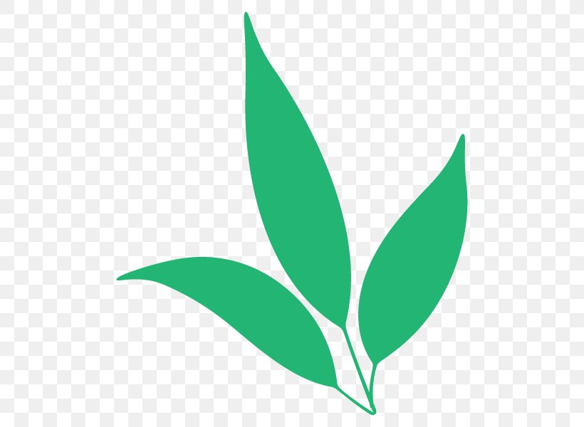 Leaf Clip Art Plant Stem, PNG, 600x600px, Leaf, Grass, Green, Plant, Plant Stem Download Free