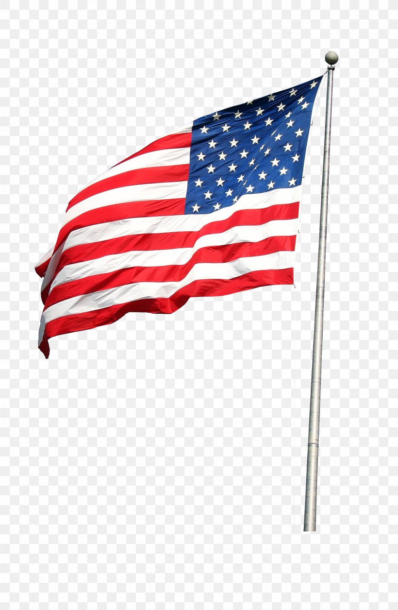 Veterans Day, PNG, 1944x2980px, Flag, Flag Day Usa, Flag Of The United States, Independence Day, Veterans Day Download Free
