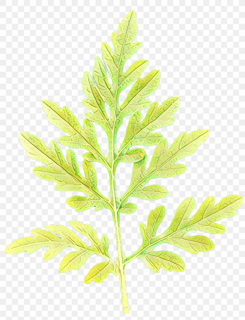 Leaf Plant Tree Flower Terrestrial Plant, PNG, 1377x1800px, Leaf, Flower, Grass, Plant, Plant Stem Download Free