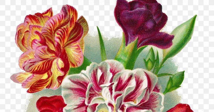 Post Cards Birthday Clip Art, PNG, 1177x618px, Post Cards, Alstroemeriaceae, Birthday, Blog, Botanical Illustration Download Free