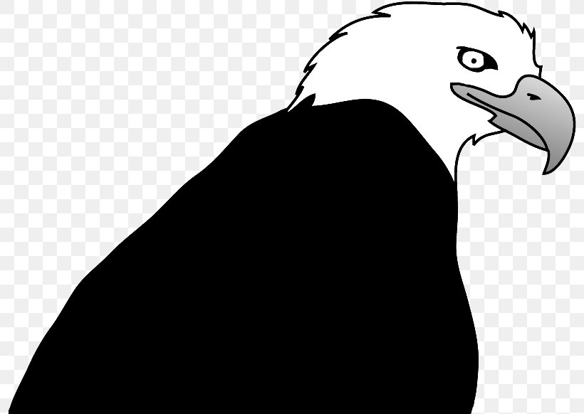Bald Eagle Bird Drawing Clip Art, PNG, 800x582px, Bald Eagle, Beak, Bird, Bird Of Prey, Black And White Download Free