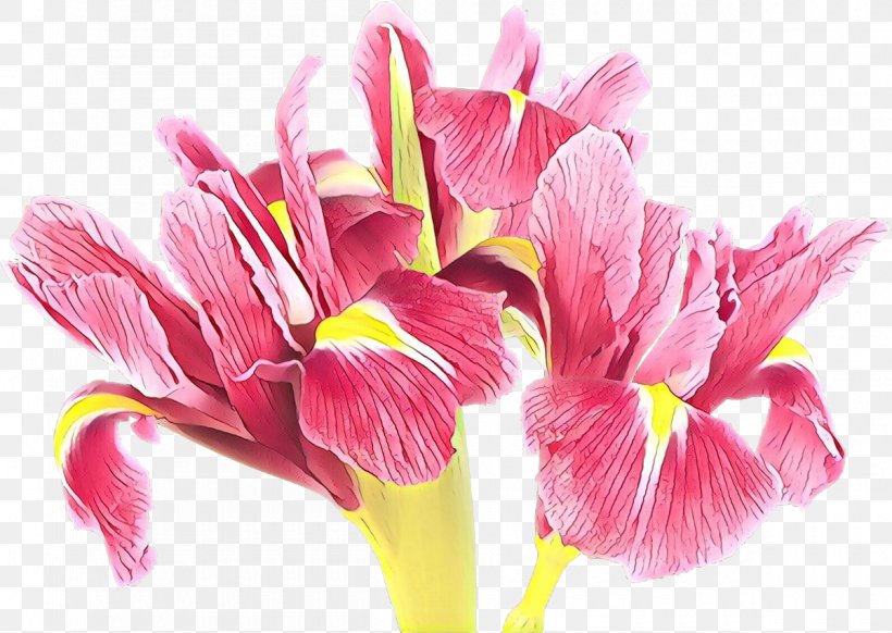 Flowering Plant Flower Petal Plant Pink, PNG, 1200x853px, Cartoon, Cut Flowers, Flower, Flowering Plant, Herbaceous Plant Download Free