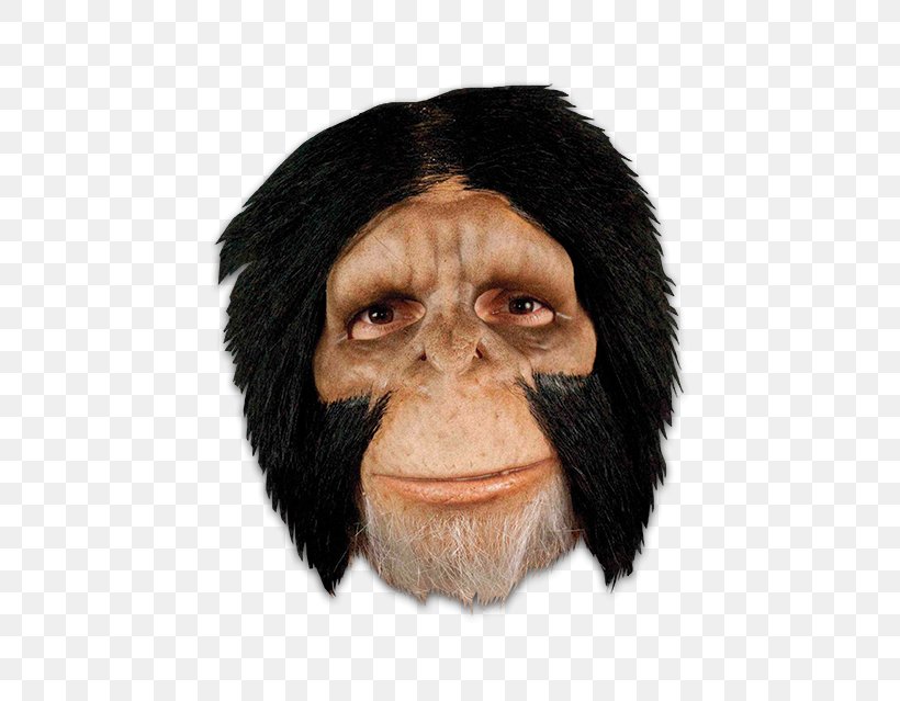 Latex Mask Common Chimpanzee Party City Halloween, PNG, 436x639px, Mask, Chimpanzee, Common Chimpanzee, Costume, Domino Mask Download Free