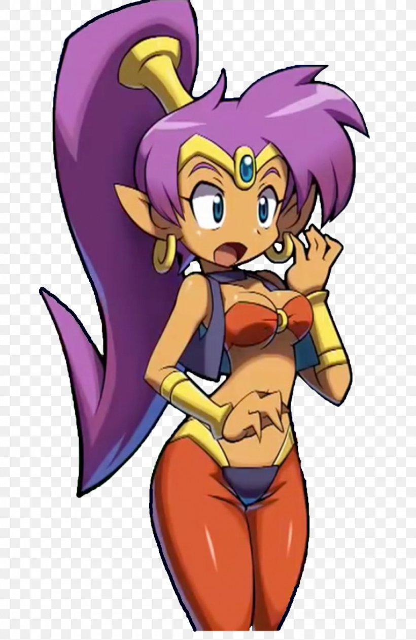 Shantae And The Pirate's Curse Shantae: Half-Genie Hero Video Game Nintendo 3DS WayForward Technologies, PNG, 1024x1575px, Watercolor, Cartoon, Flower, Frame, Heart Download Free