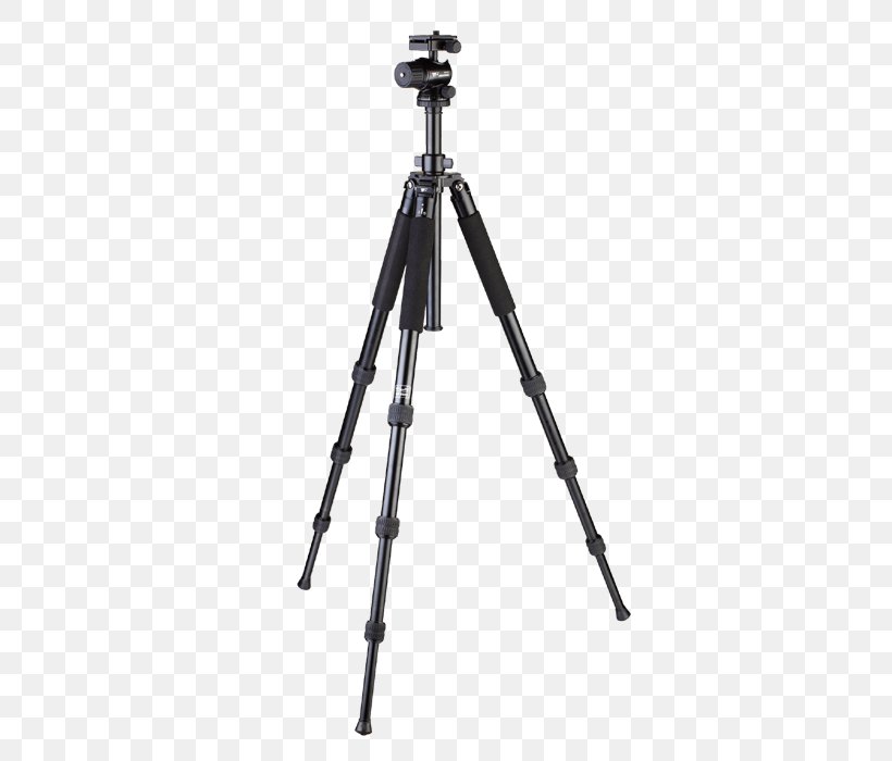 Tripod Photography Professional Video Camera Monopod, PNG, 700x700px, Tripod, Ball Head, Camcorder, Camera, Camera Accessory Download Free