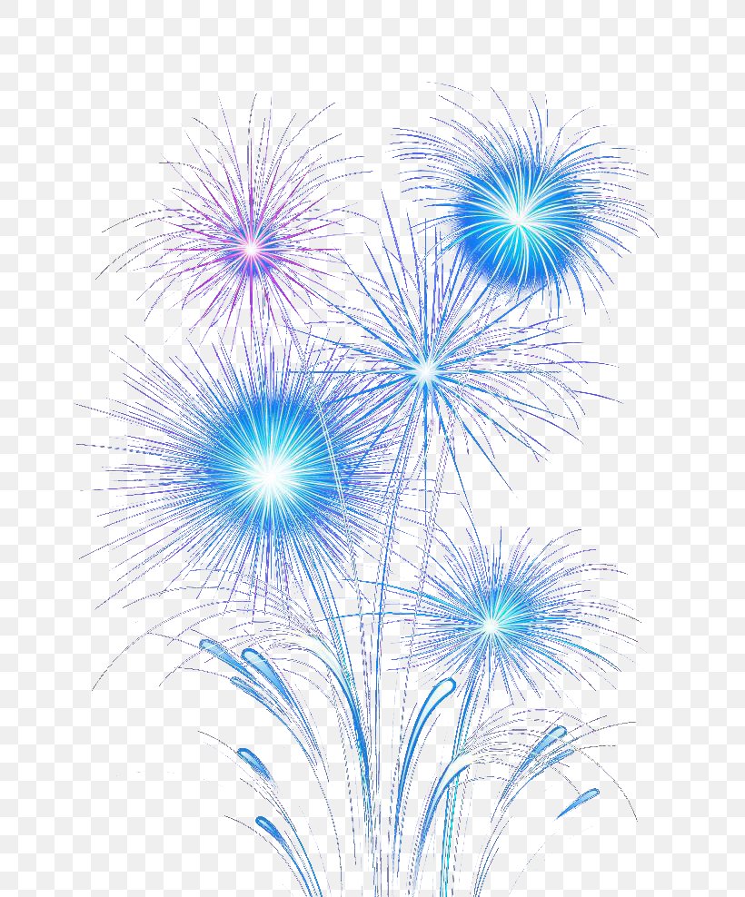 Fireworks Graphic Design, PNG, 724x988px, Fireworks, Chinese New Year, Designer, Event, Flower Download Free