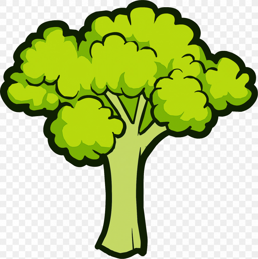 Green Plant Leaf Vegetable Tree Broccoli, PNG, 1650x1661px, Green, Broccoli, Flower, Leaf Vegetable, Plant Download Free