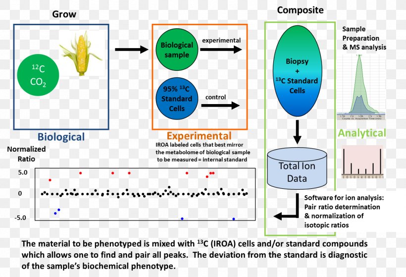 Isotopic Ratio Outlier Analysis Technology Metabolism Science, PNG, 1450x990px, Technology, Area, Brand, Communication, Diagram Download Free