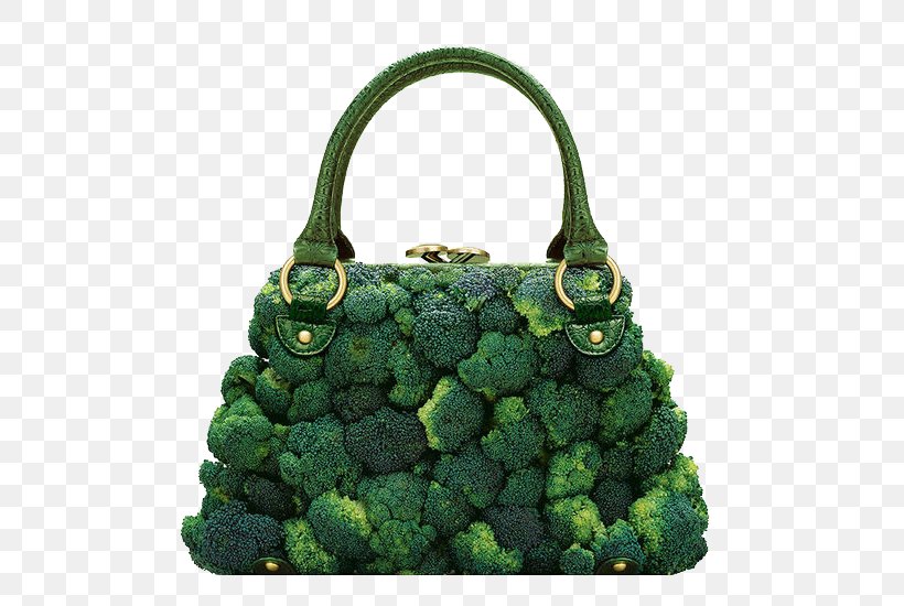 Photographer Handbag Photography Fashion Food, PNG, 550x550px, Photographer, Art, Bag, Broccoli, Clothing Download Free