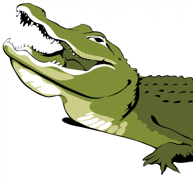 Alligator Crocodiles Clip Art, PNG, 831x771px, Alligator, Amphibian, Art, Crocodile, Crocodiles Download Free