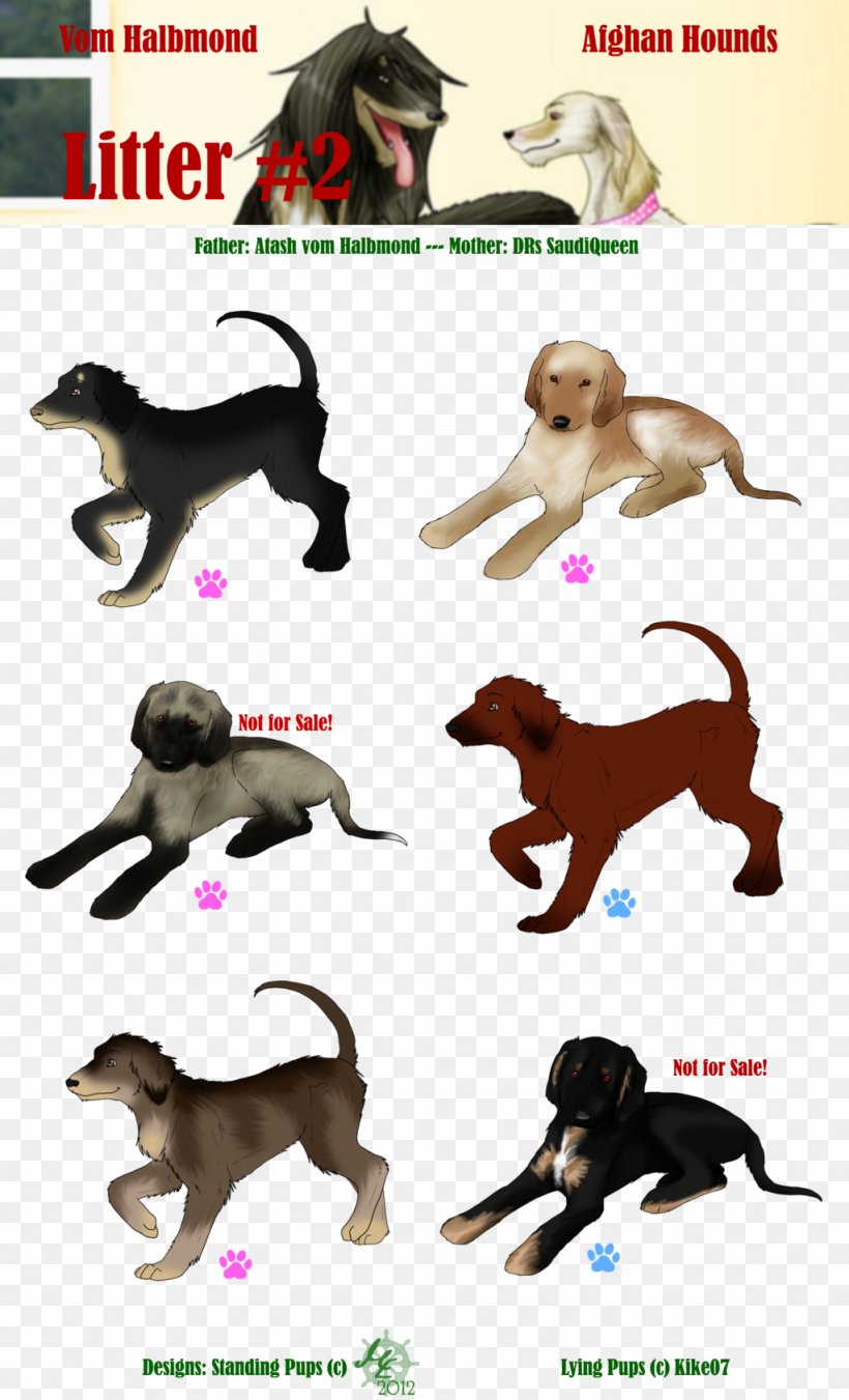 Dog Breed Cat Horse Leash, PNG, 1024x1688px, Dog Breed, Animal Figure, Breed, Carnivoran, Cat Download Free