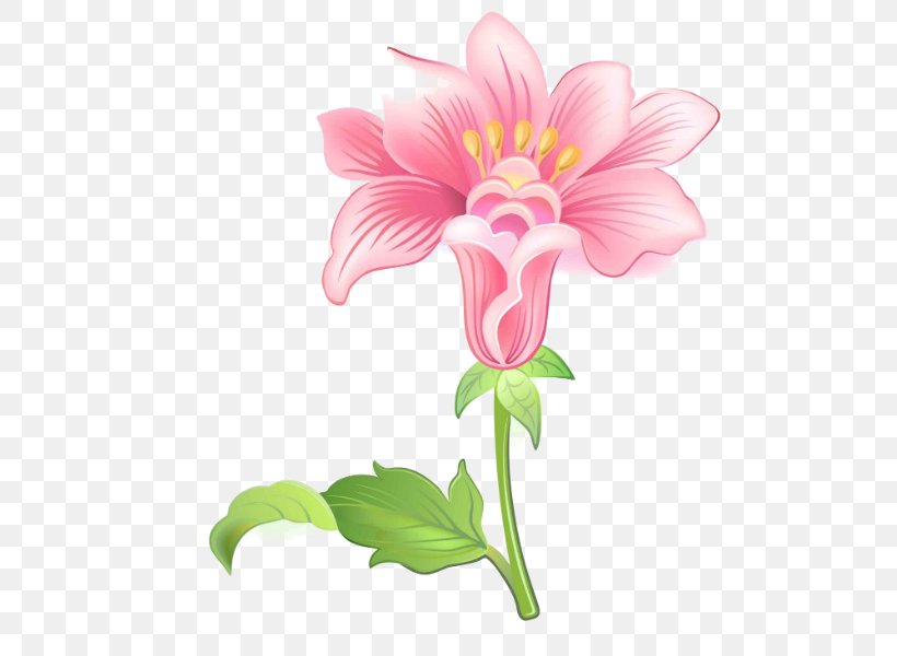 Floral Design Garden Phlox Cut Flowers Clip Art, PNG, 539x600px, Floral Design, Cut Flowers, Flora, Floristry, Flower Download Free