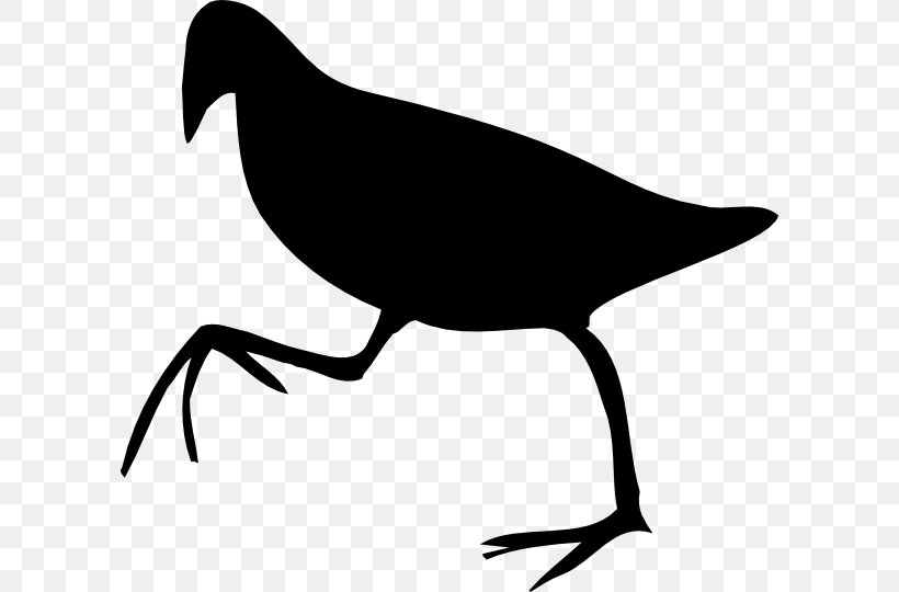 Beak Clip Art Bird Silhouette Line Art, PNG, 600x540px, Beak, Art, Bird, Charadriiformes, Coloring Book Download Free