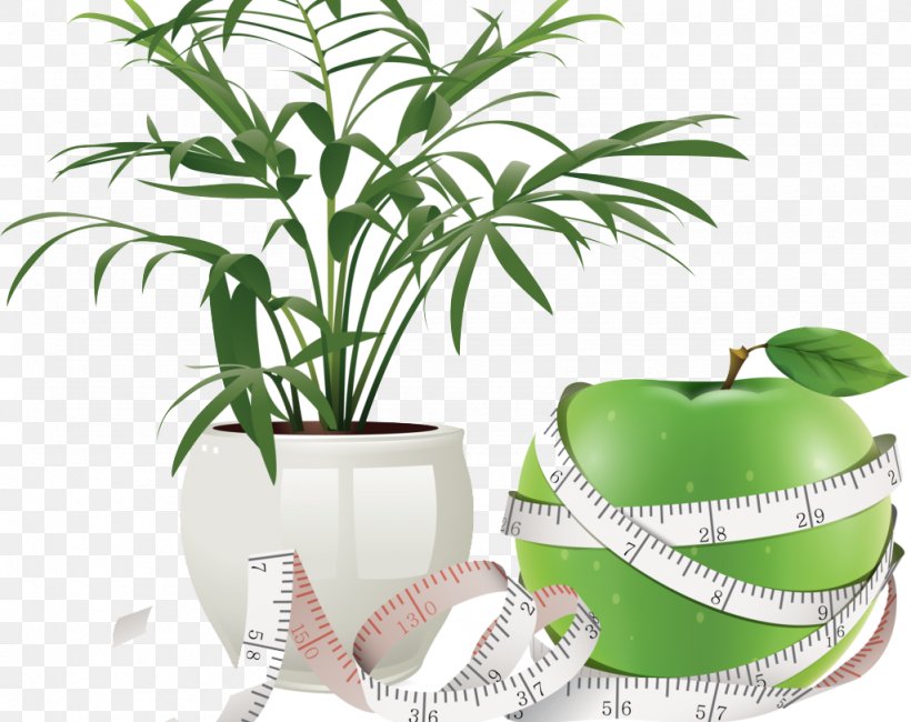 Flowerpot Icon, PNG, 1024x812px, Flowerpot, Chair, Grass, Green, Health Care Download Free