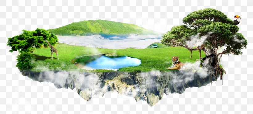 Galaxy Macau Dog Advertising Gratis, PNG, 1250x567px, Water, Nature, Plant, Resource, Tree Download Free